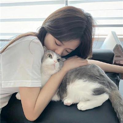 太极旗飘扬